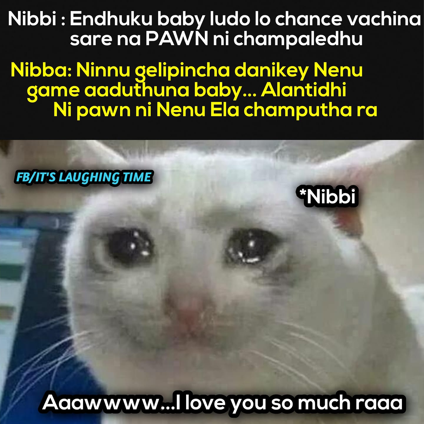 Nibbaludo.jpg