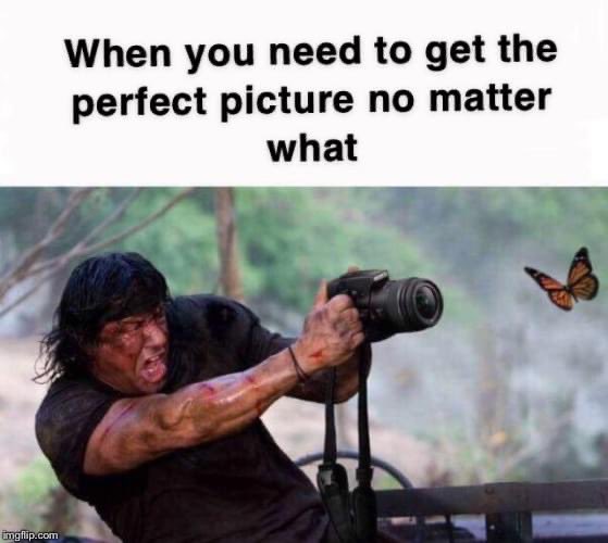 photography-memes.jpg