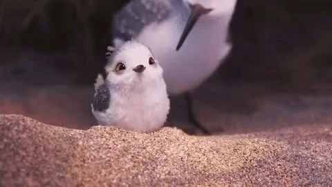 piper-pixar.gif