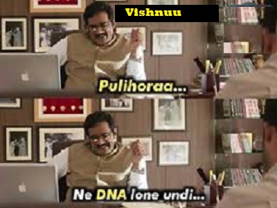 pukl.jpg