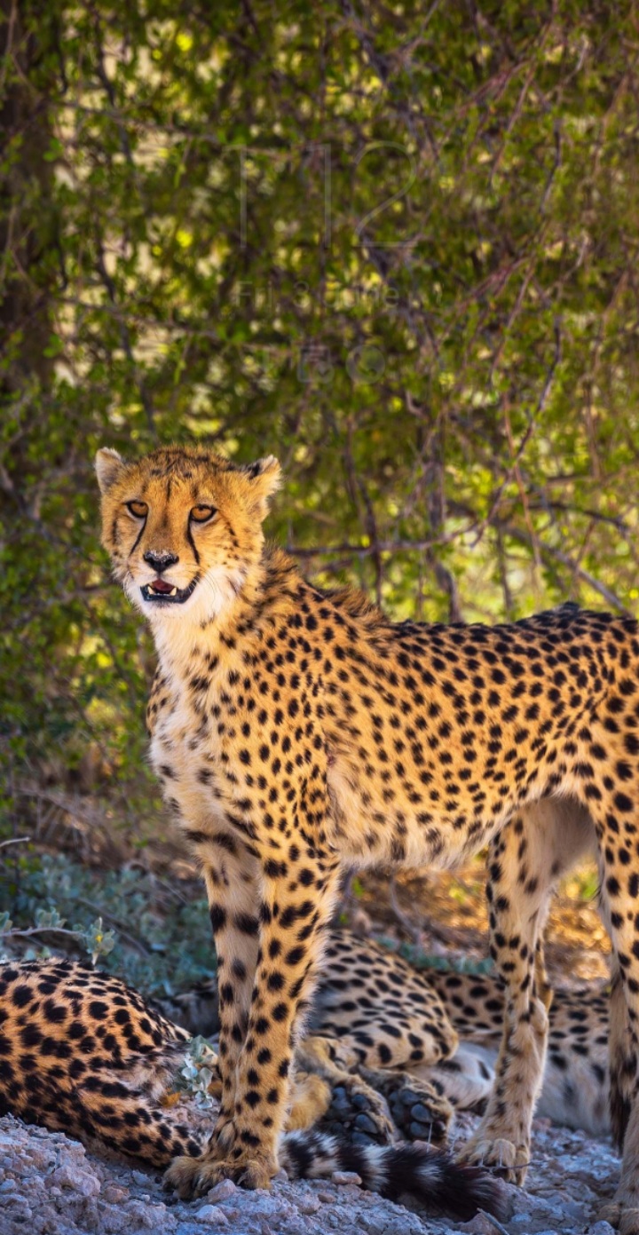 Screenshot_20220603-131226_One UI Home.jpg