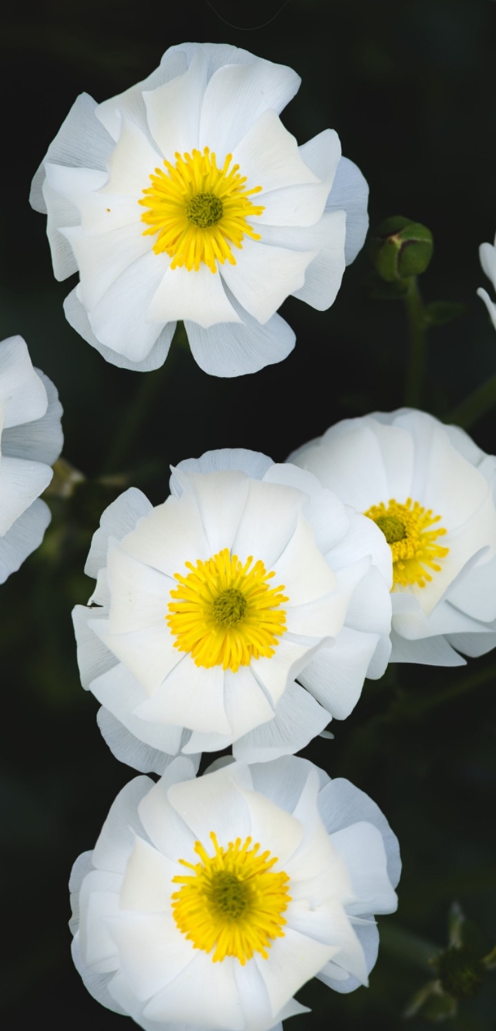 Screenshot_20220701-172254_One UI Home.jpg