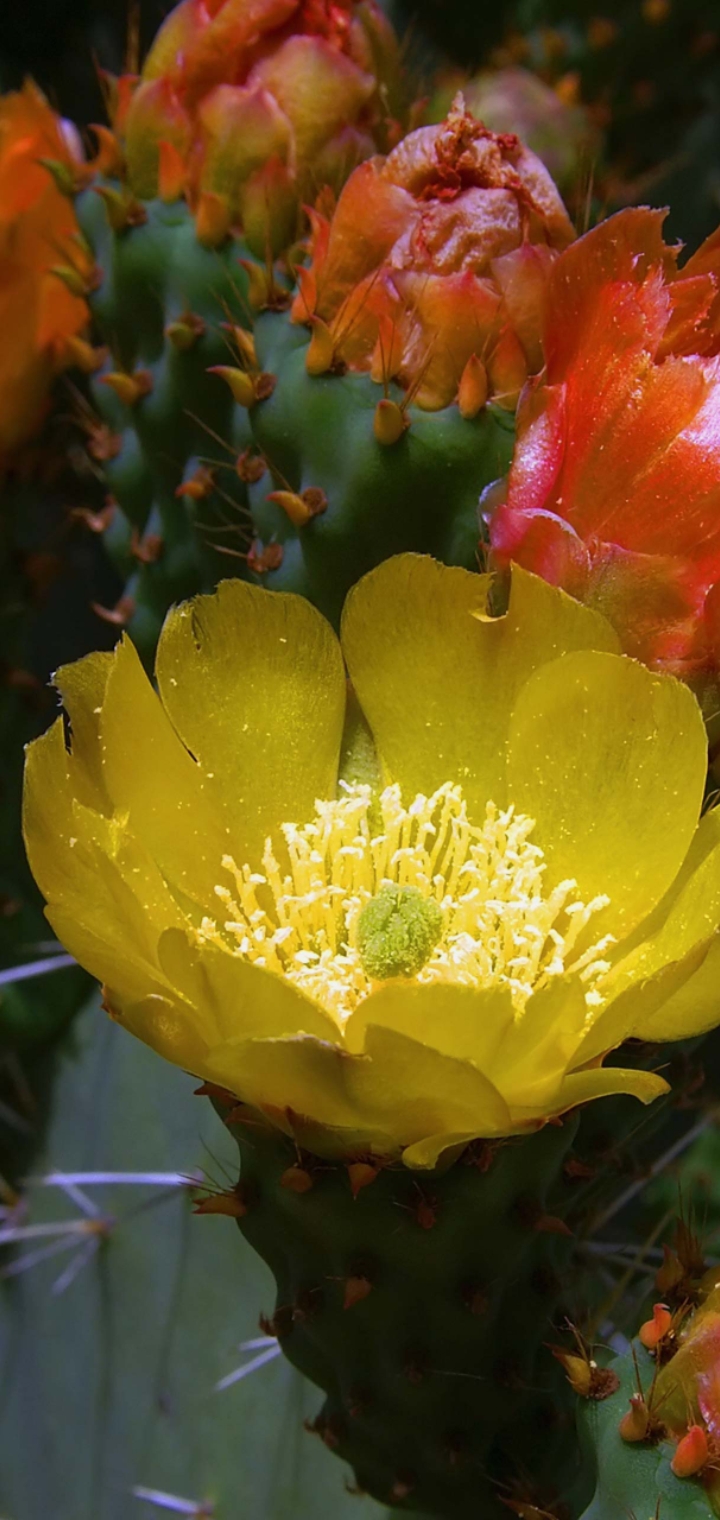 Screenshot_20220727-064850_One UI Home.jpg