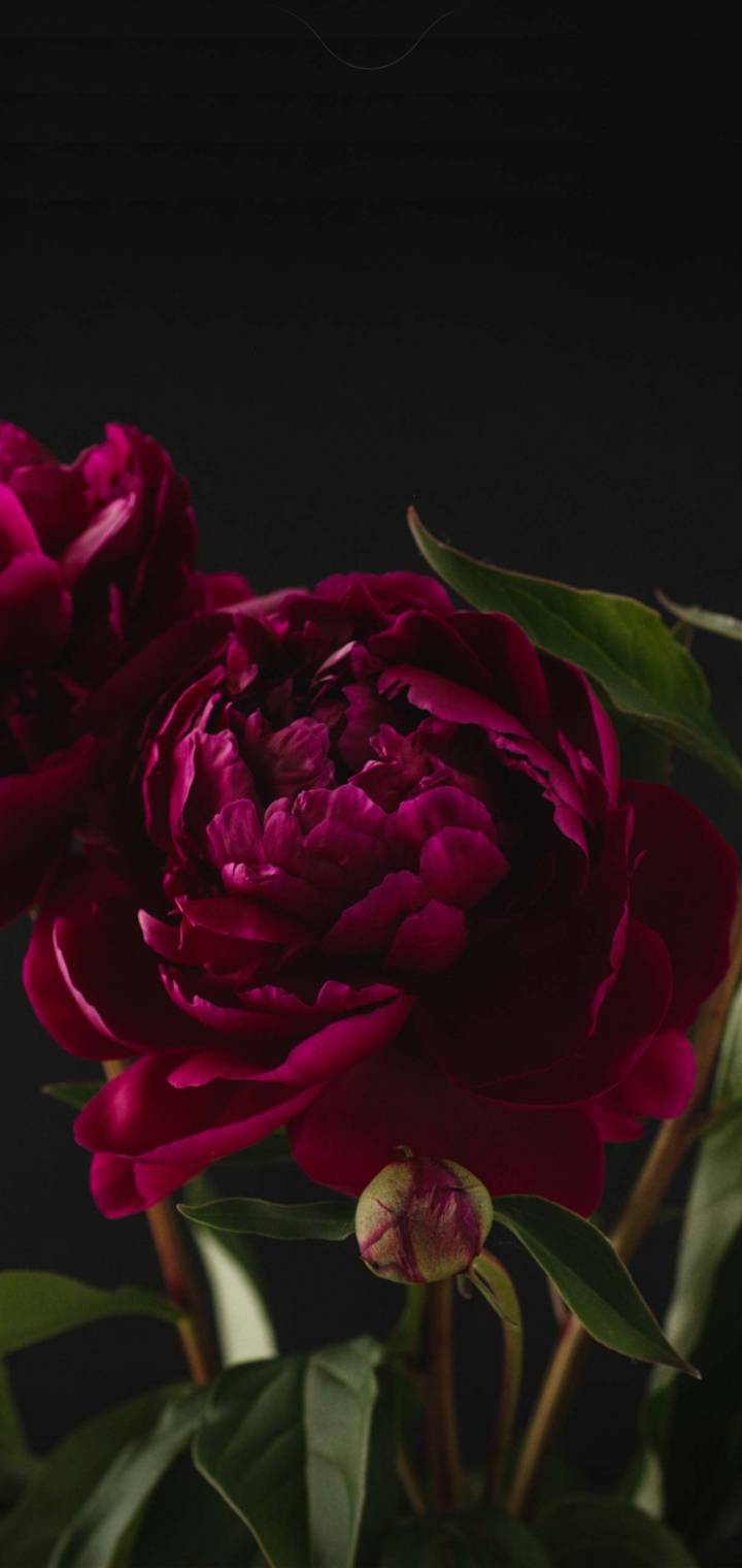 Screenshot_20220727-174541_One UI Home.jpg