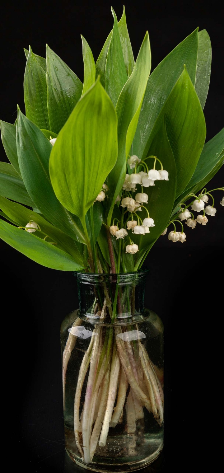 Screenshot_20220907-130026_One UI Home.jpg