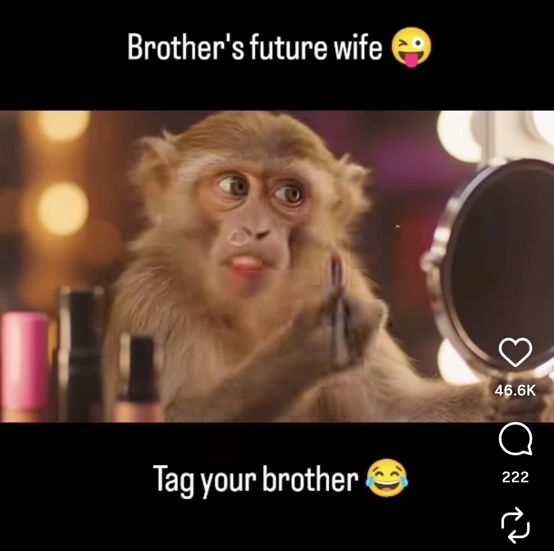 Screenshot_20250816-115326.Instagram~2.png