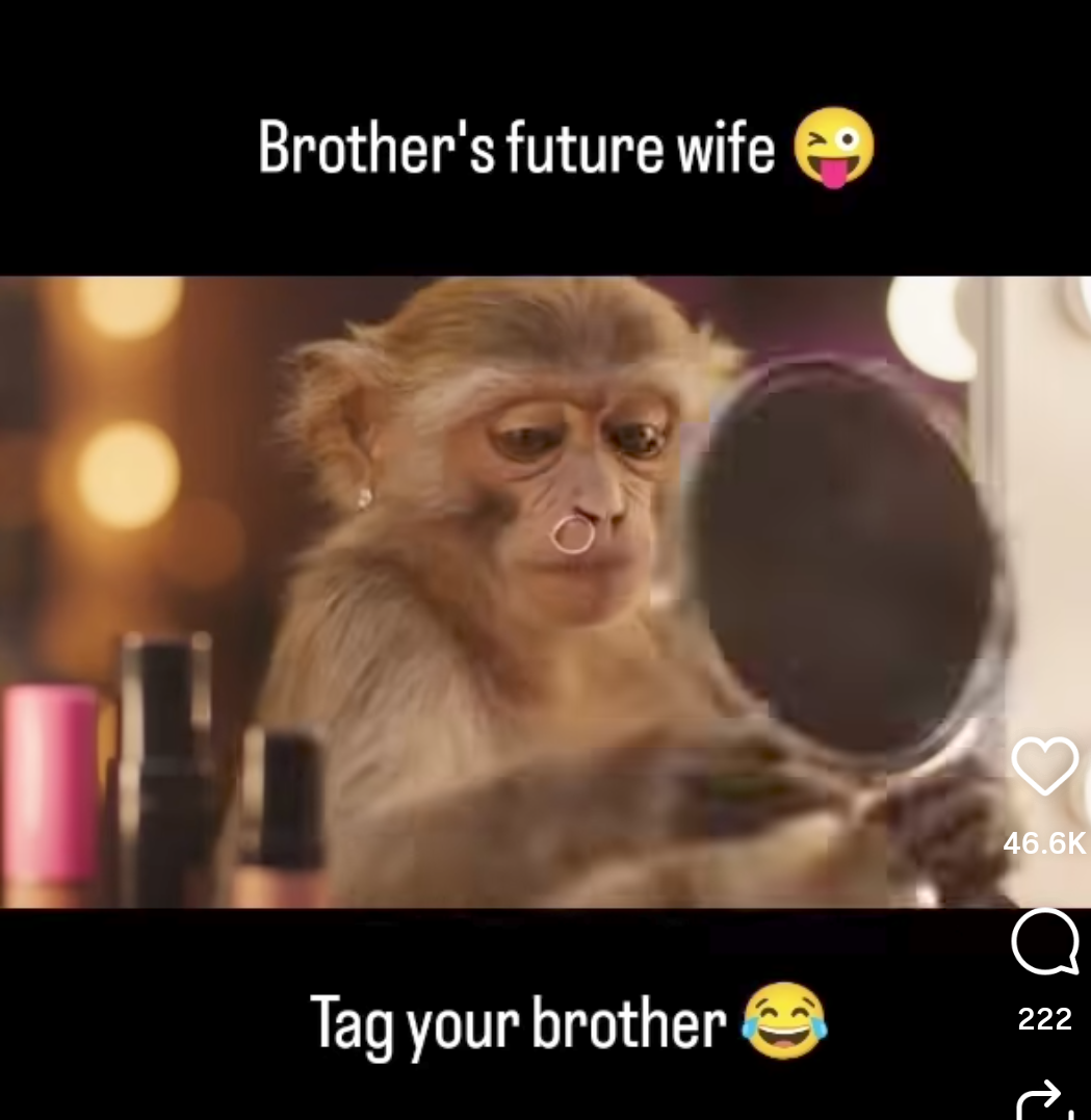 Screenshot_20250816-115329.Instagram~2.png