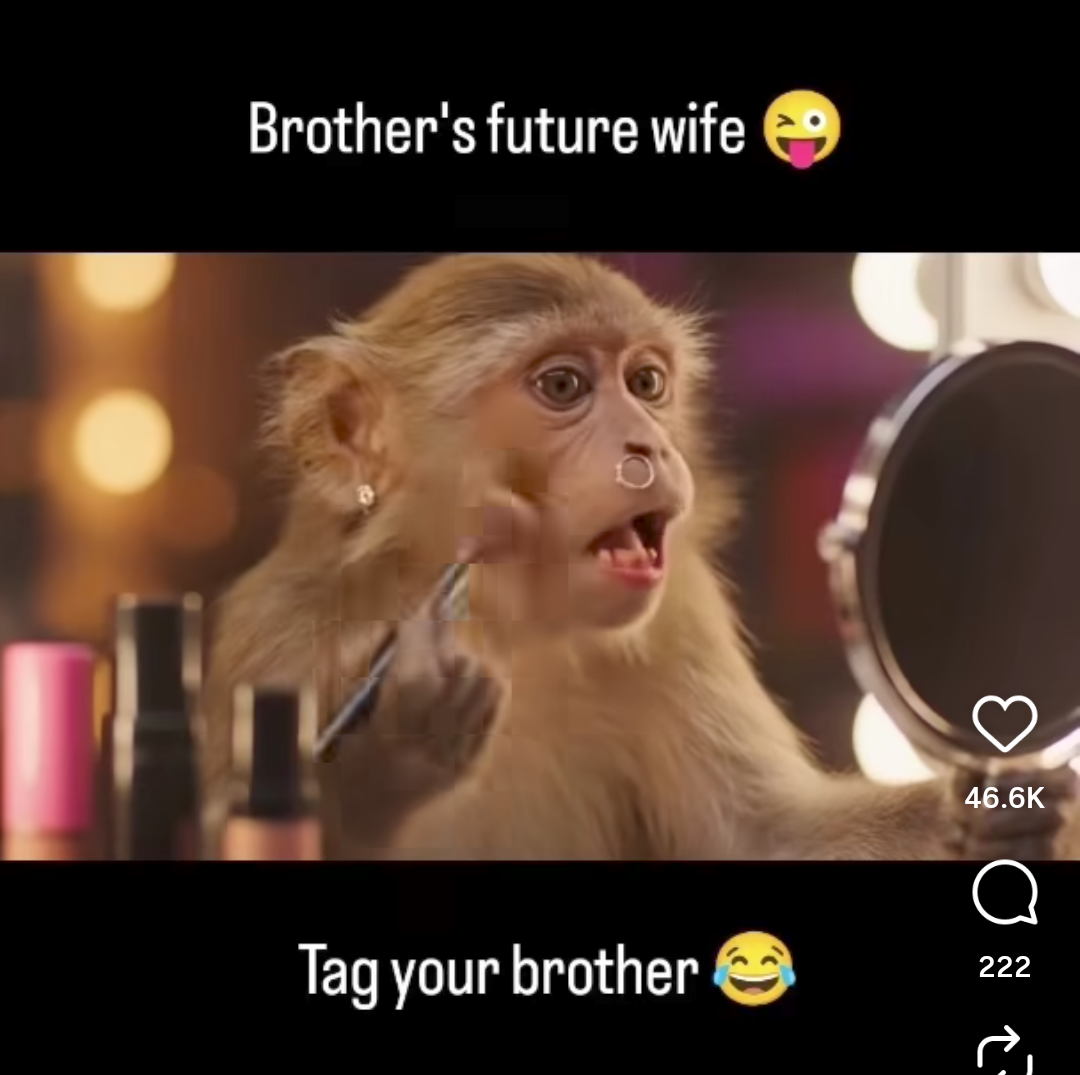 Screenshot_20250816-115331.Instagram~2.png