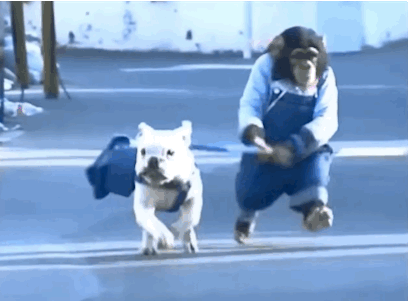 source.gif