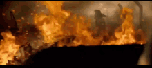 tenor (1).gif