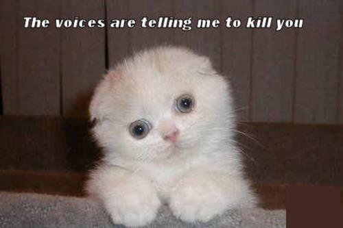 the-voices-50432306684.jpeg