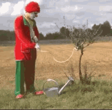 user1435466_a6b69b91fa45.gif