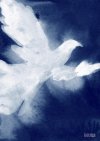 dove-watercolor-painting-of-birds-beverly-brown-prints.jpg