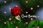 967a9eb13dddab248572996021730c3a38e126c8a05930d815dcf25aa40c6b70.0.GIF