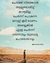 IMG_3534.jpeg
