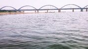 1000241998-01.jpeg