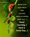 be56316a9e99d68725fe56a7cdf12449.jpg