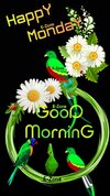 12bcd498e7746e6dadc83ade1d58089e.jpg