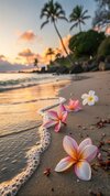 tropical-beach-sunset--pristine-turquoise-ocean--g.jpg
