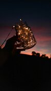 WallX_jar_garland_hand_144723_1080x1920.jpeg