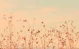 0-1-antelope_island_utah-wallpaper-5120x3200.jpg