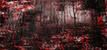 PicsArt_08-05-01.22.54.jpg