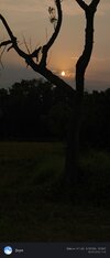 IMG_20250509_171818.jpg