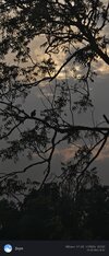 IMG_20250505_164920.jpg