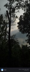 IMG_20250501_161216.jpg