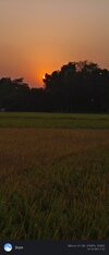 IMG_20250414_173234.jpg