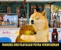 IMG_1272.jpeg