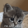 1747552407826.gif