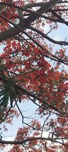 IMG_20250510_153208.jpg
