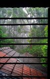 IMG_20250529_141327.jpg
