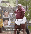 vadivelu-look-star-tamil-chat.gif