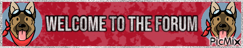 1000072566.gif