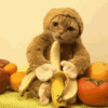 1000072852.gif