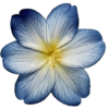 1000173192.png