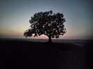 IMG_20201205_175722.jpg