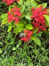 IMG_20250630_114251.jpg
