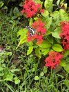 IMG_20250630_114257.jpg