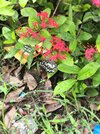 IMG_20250630_114307.jpg