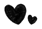 IMG_1926.gif