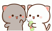 a88ad6440e021d647958ac46c4032f6b.gif