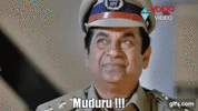 1000119015.gif