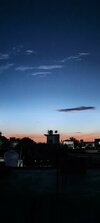 IMG_2279.jpeg