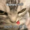images (29).jpeg