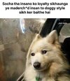 1000098535.jpg
