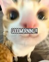 574279c92160e167594c7ff656ba6cda.jpg