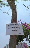 FB_IMG_1753193593198.jpg